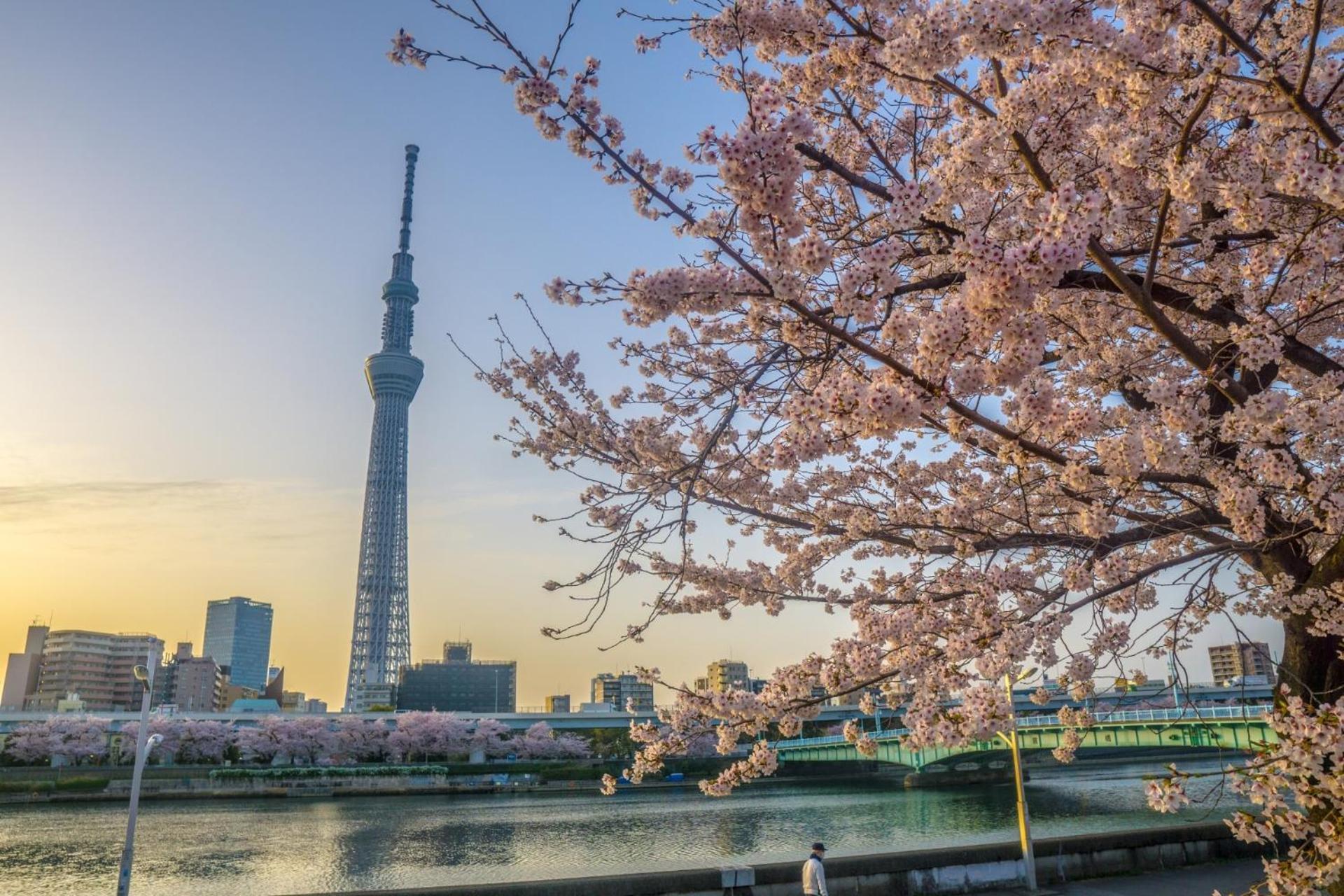Stayme The Hotel Asakusa Riverside Tokyo Exterior photo